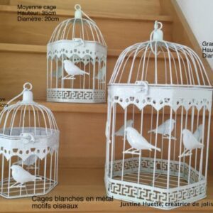 Cages "birdy"