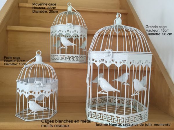 Cages "birdy"