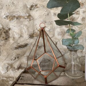 Terrarium cuivrée