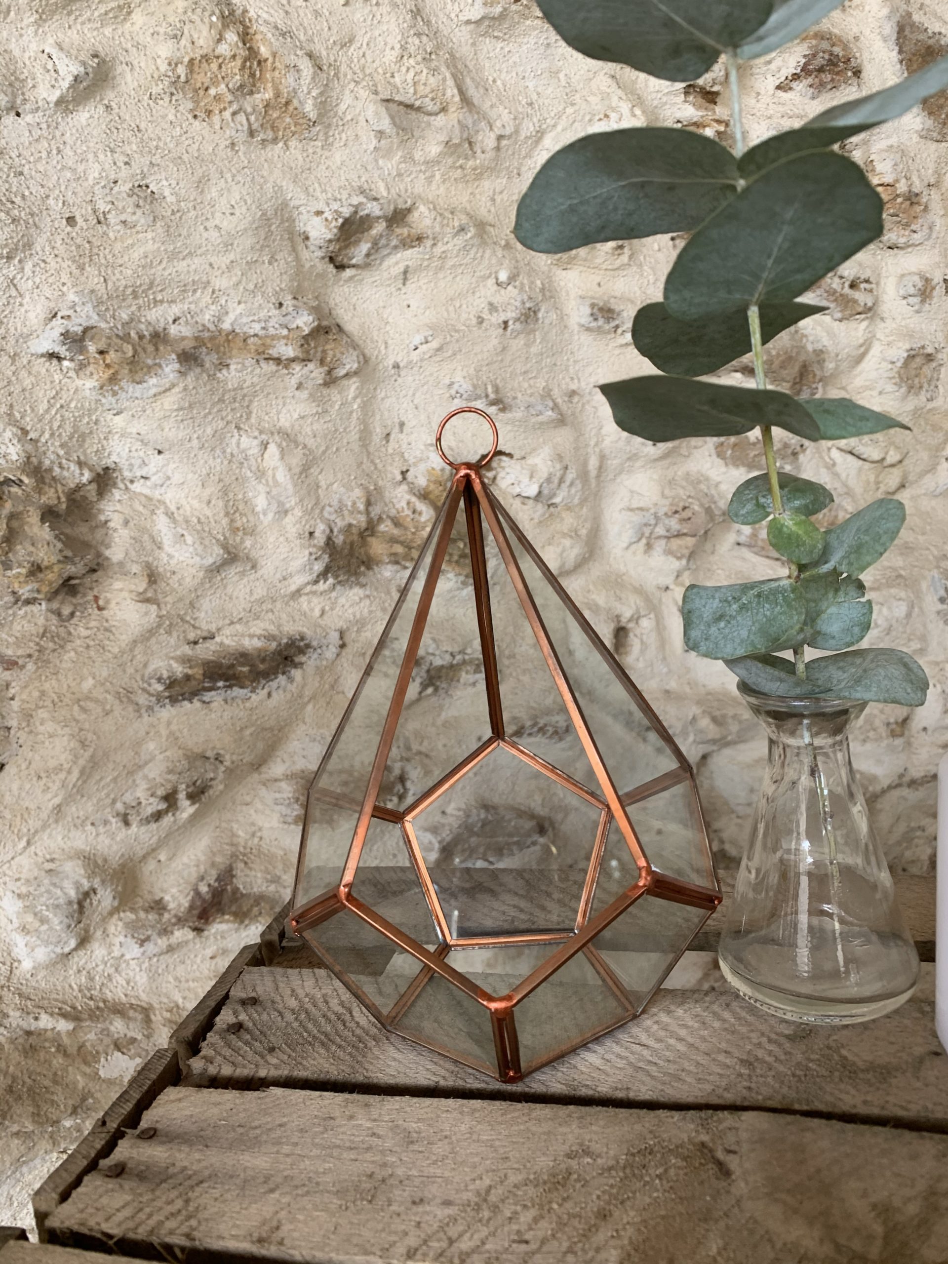 Terrarium cuivrée